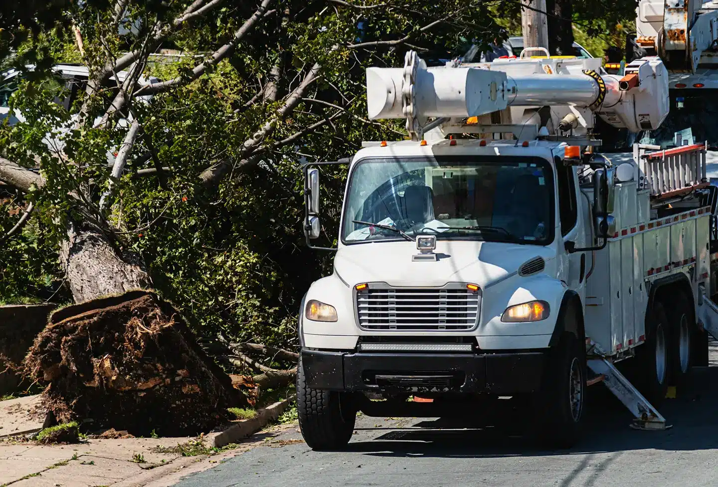 Phoenix Restoration white utility truck at an emergency site.